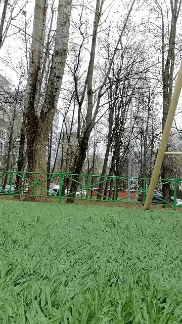 Прогулка с дочкой