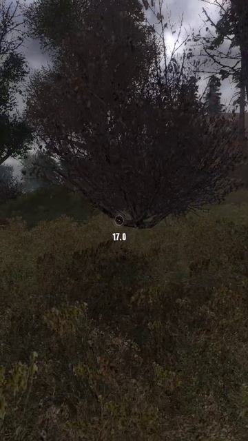 S.T.A.L.K.E.R.Тень Чернобыля аномалия