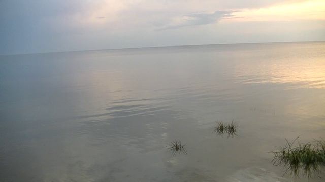 Vatravel.ru На Чудском озере у д.Спицино (Псковская обл)