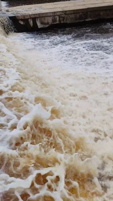 Плотина Гаусмана в Сестрорецке ❤️