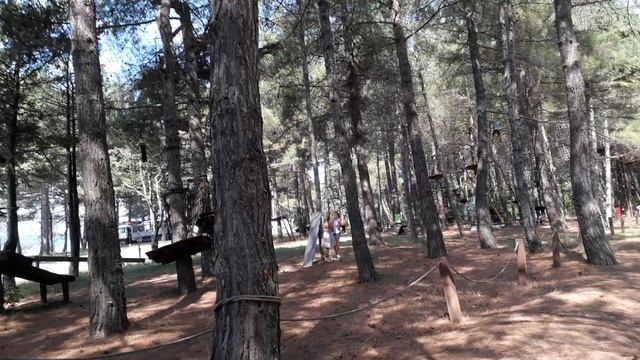 Верёвочный парк 