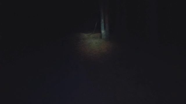 НЕ ХОДИТЕ СЮДА! Ночной поход в лес| часть 1.