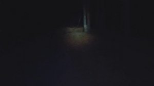 НЕ ХОДИТЕ СЮДА! Ночной поход в лес| часть 1.