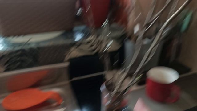 Ездили в университет на день открытых дверей. Ездили в больницу на уколы.