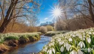 *** "ПОДСНЕЖНИКИ" – ВЛАДИМИР ХАРЛАМОВ ***