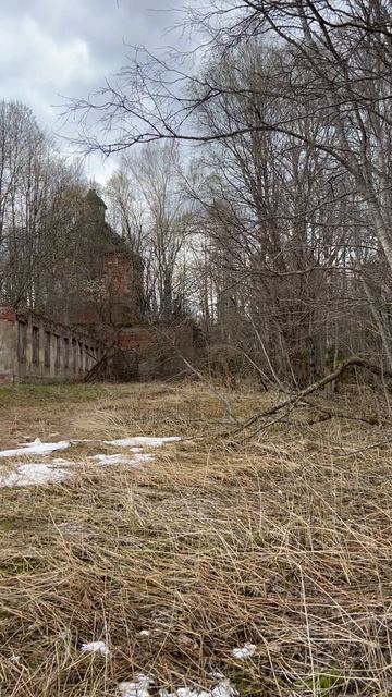 Старинный монастырь и церковь в лесу