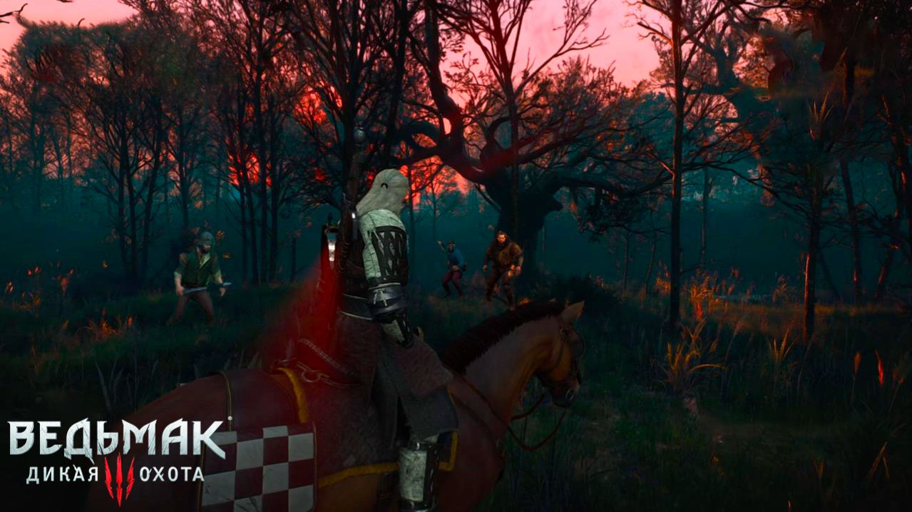 The Witcher 3. Wild Hunt ► 37 серия. Вопросы Велена. Банды. (2025)#witcher3