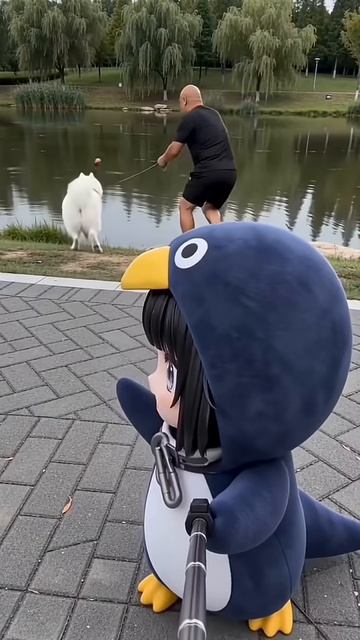 Умный пингвин🥹🥹