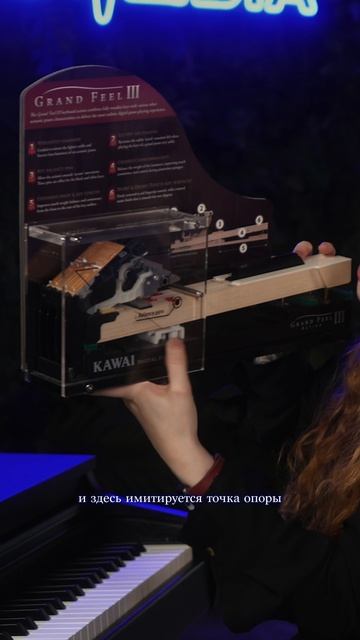 Деревянные клавиши цифровых пианино KAWAI