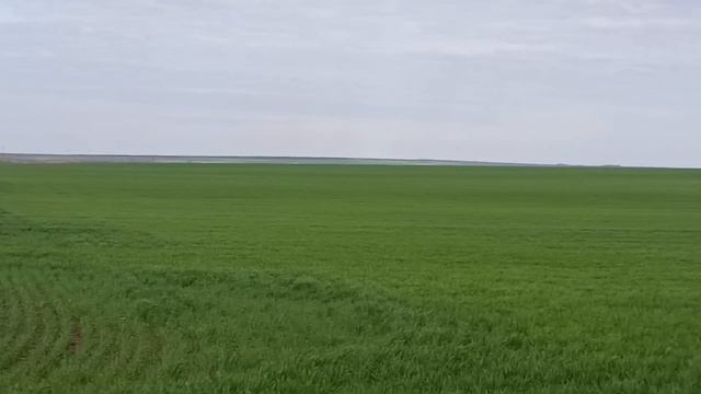 Дорога в соседнее село