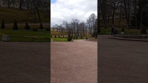 Петергоф. Прогулка адвоката под журчание воды, без шума людей. Петродворец.