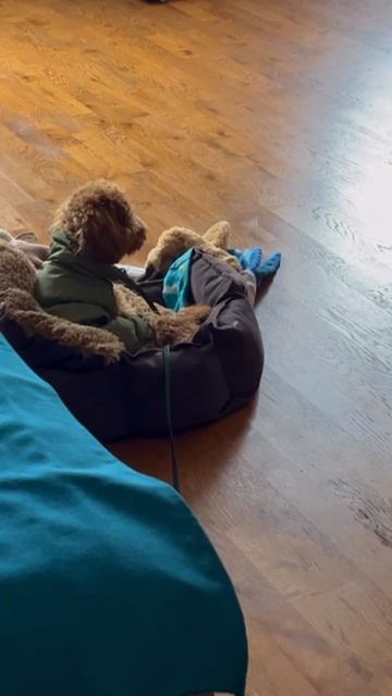 Не хочет гулять с мамой