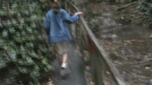 56)О БЕРЕНДЕЕВОЕ ЦАРСТВО