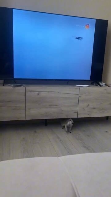 Клип Men_mne_eto_nravitsa