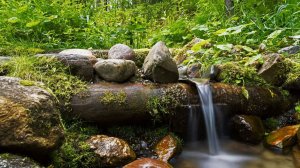 Трансляция общины "Родник" 18.04.2026