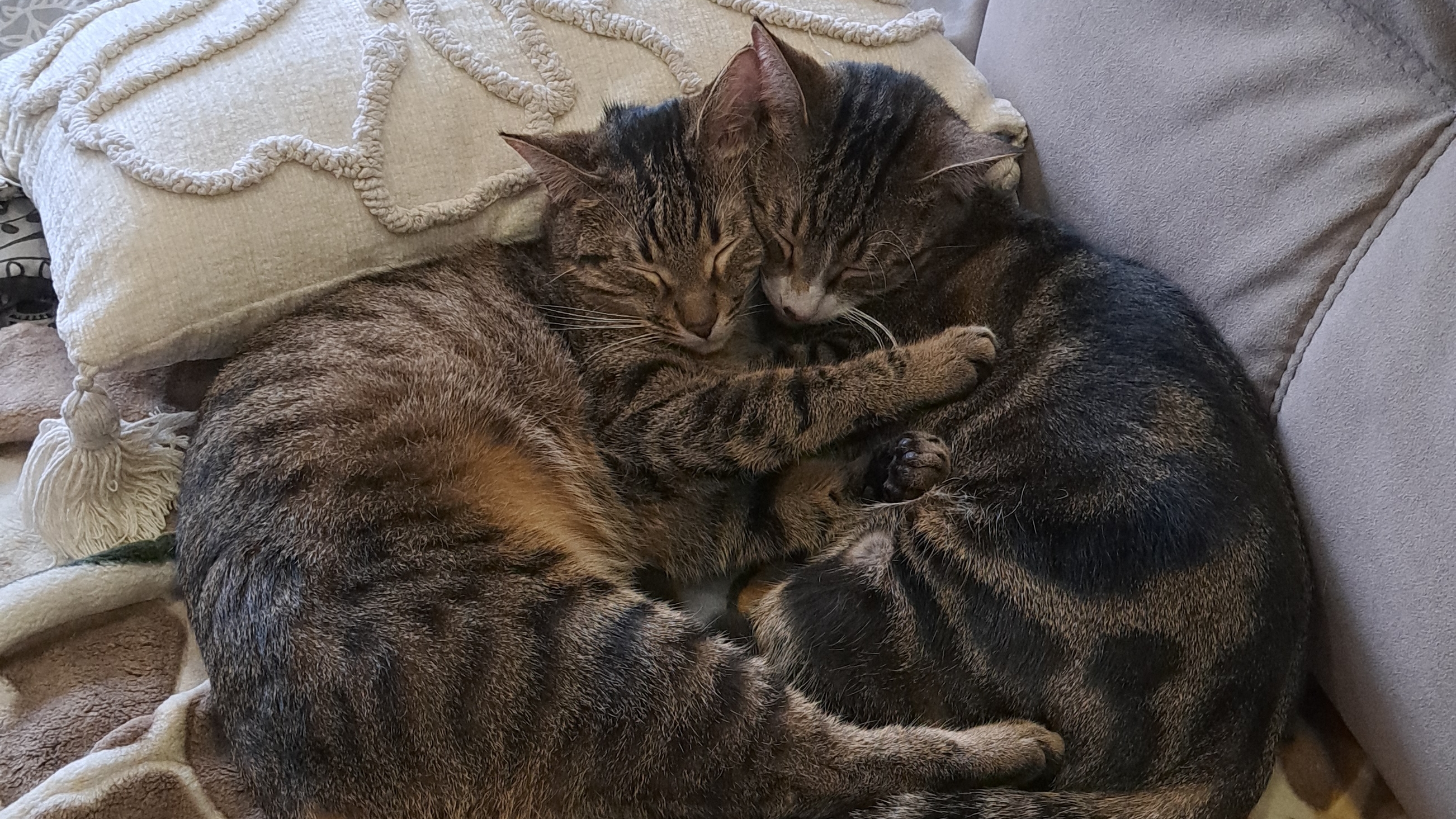 Ну разве они не милые