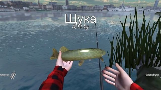 ) : щуку отпустил