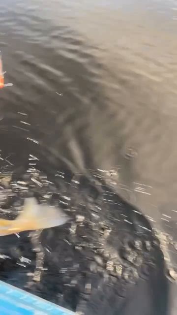 Маленький , но уже довольно опытный рыбак!🎣