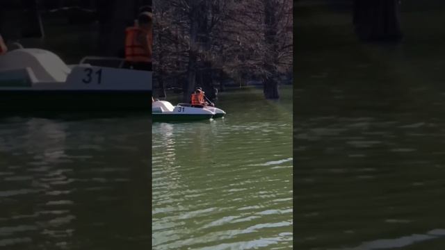 Мегарука на Кипарисовом озере Сукко 17.04.26. Репортаж Светланы Тихоновны. Уровень воды снижается.