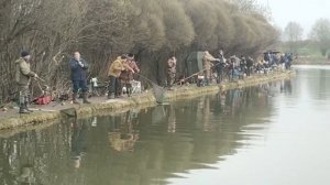 Поимки с водоема