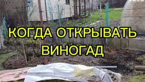 18 апреля Подмосковье работа в саду 🤗