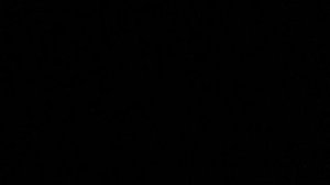 Пародия на Геннадия Горрина