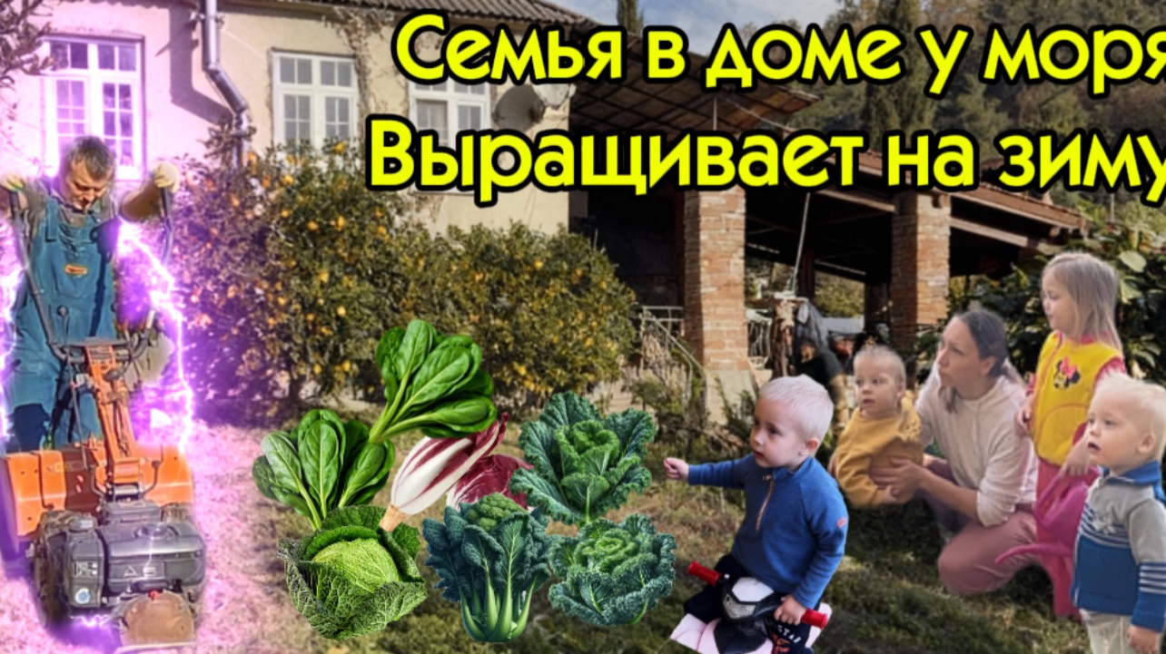 Жизнь семьи в холмах Абхазии