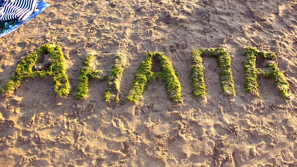 Анапа, море, пляж, прогулка по городу.