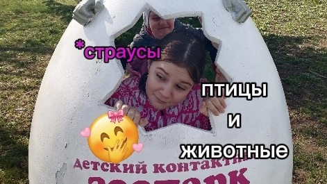 ФЕРМА ПТИЦ И ЖИВОТНЫХ(ВЛОГ)ʕ•ᴥ•ʔ