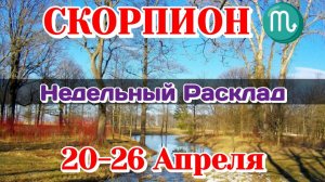 СКОРПИОН♏ Недельный расклад 20-26 АПРЕЛЯ/Таро Прогноз/Сферы жизни