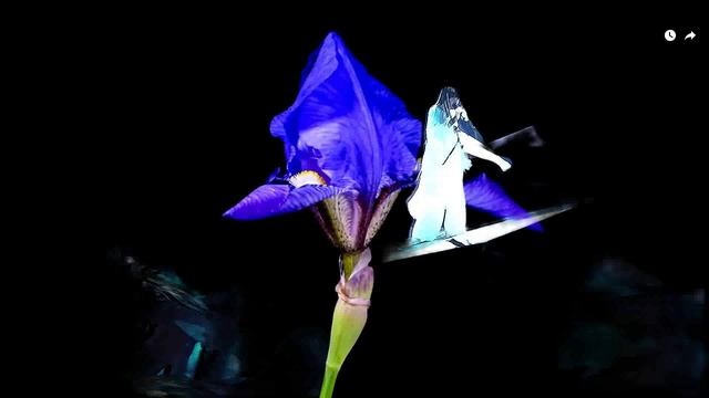 58 Диана Анкудинова - 