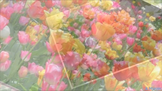 Angelo Taylor - Breath Of Silence