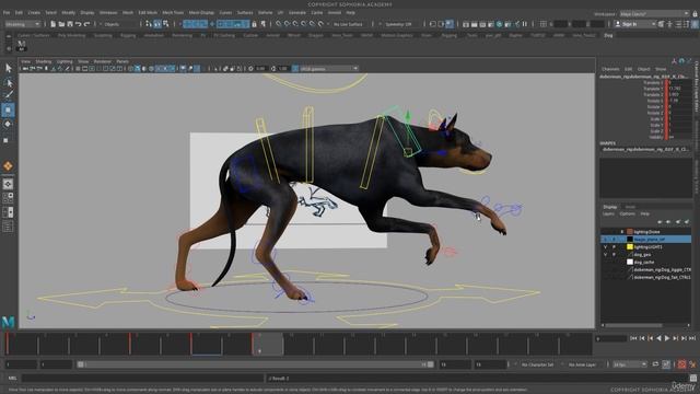 3. Blocking Out the Dog Run Cycle