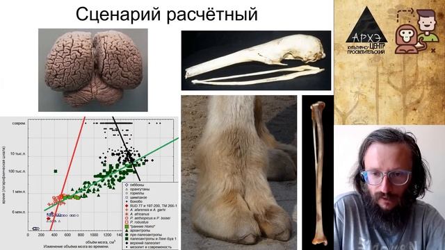 Станислав Дробышевский: Пан или морлок. Биологическое будущее человека (№15)