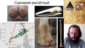 Станислав Дробышевский: Пан или морлок. Биологическое будущее человека (№15)