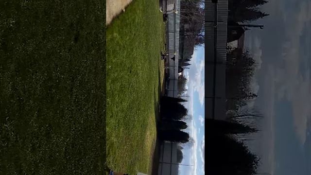 играем в футбол