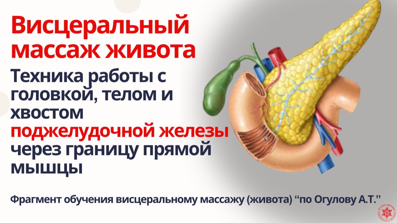 Висцеральный массаж живота. Техника работы с головкой, телом и хвостом поджелудочной железы.