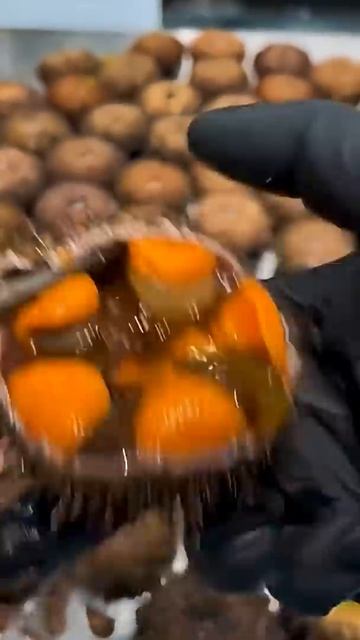 Как почистить морского серого ежа. Вы так же делаете?