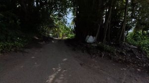 10.  Мальдивы 2025. Остров Тодду. Поселок