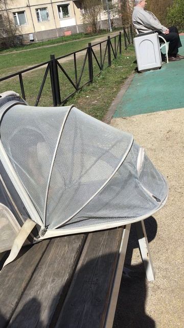 Санкт-Петербург. Проспект Энгельса. 17.04.2026.Котенок Персик на прогулке.  Эпизод 3