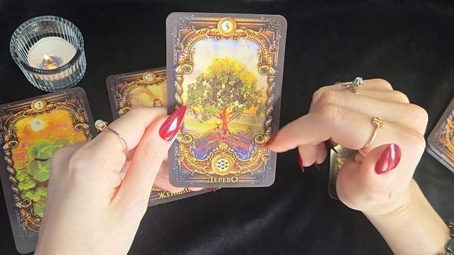 СОВЕТ ОТ ВЫСШИХ СИЛ 🙏 ЛЕНОРМАН