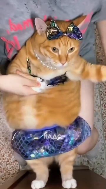 #майлз #Ламбада #fed