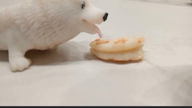 Джес кушает креветку 🦐