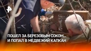 Пошли за березовым соком — попали в медвежий капкан: дикая история из Биробиджана