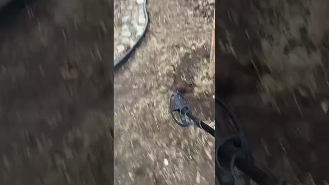 Пилигрим 48 работа двухтонального пинпойнтера