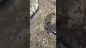 Пилигрим 48 работа двухтонального пинпойнтера