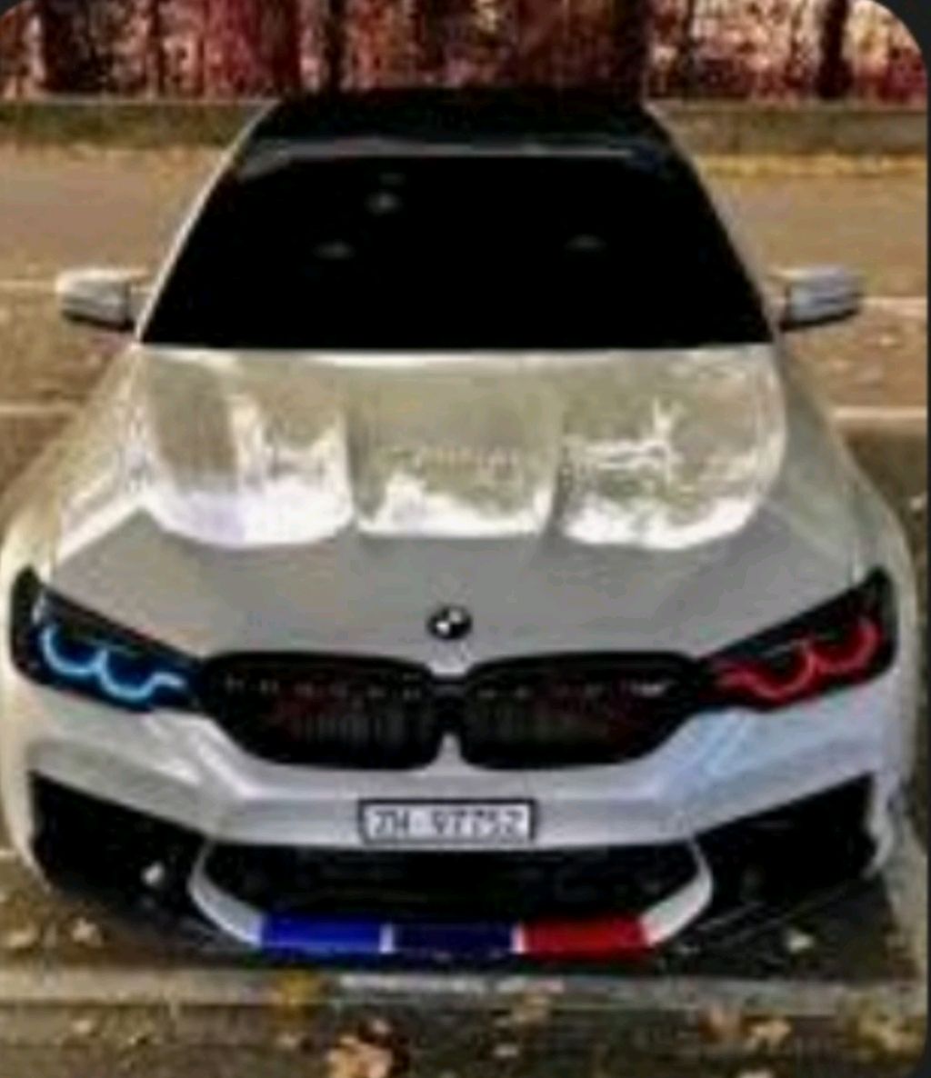 Собачьи дело