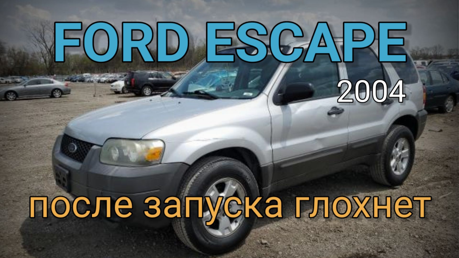 Ford Escape 2.3 - Глохнет после запуска, троит.