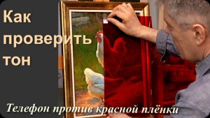 Как проверить тональность работы и натуры. Сравниваем плёнку и телефон