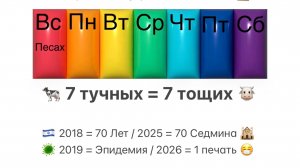 🍷 Песах 🩸 7 дней Песаха = 7 чаш благословения: Шева Брахот/Хупа 👰♀️ Брачный 7-дневный чертог 💒